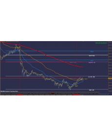 埃勒斯外汇交易系统