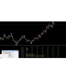 多货币共振仪表盘