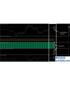 掠夺者外汇交易系统下载