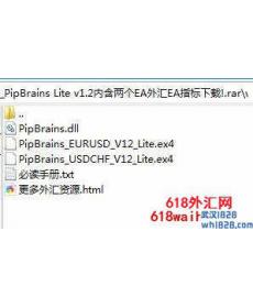 PipBrains Lite v1.2内含两个外汇EA下载