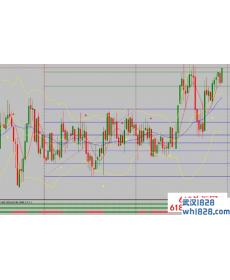 Dec Forex 外汇交易系统下载