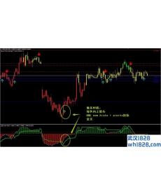 Neuro Forex Strength Trend Predictor外汇交易系统下载
