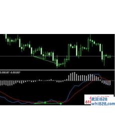 双线MACD MT4指标下载!