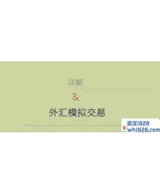 外汇模拟交易软件哪个好？