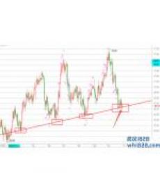 Quantum Trade EA MT5