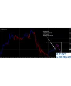盈利起动机外汇交易系统下载