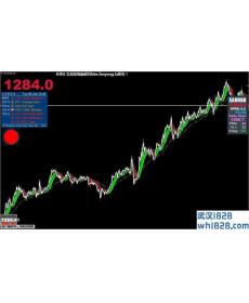 Xard777 Gold外汇交易系统下载
