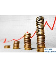Forex Wealth EA长线策略外汇黄金EA下载!