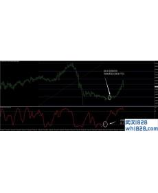 BOBOKUS黄金分割外汇交易系统