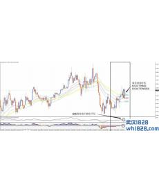 声波R外汇交易系统下载