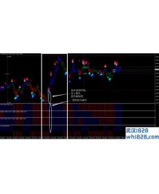 DFX趋势外汇交易系统(汉化版)下载