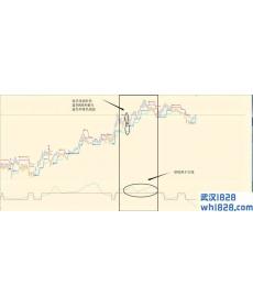 BrainTrend外汇交易系统下载
