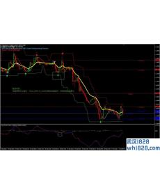 Signal Line Forex Reversal外汇交易系统下载