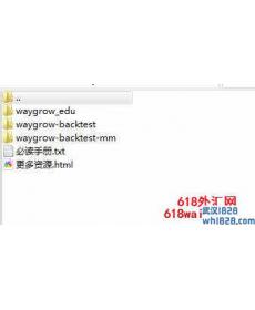 著名的waygrow外汇EA下载
