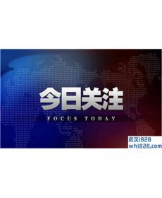 10.31早评 美元强势上涨，今日黄金如何把握？
