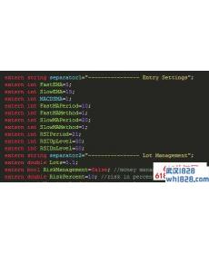 FastSlow MA RSI MACD外汇EA下载!