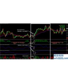 Doske Scalping外汇交易系统下载