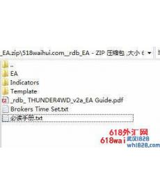 RDB制作的外汇EA下载