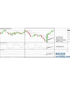 J9D外汇交易系统下载