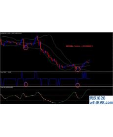 RSX Timing外汇交易系统下载