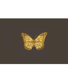 Gold Butterfly Scalper Pro黄金的趋势跟踪和反趋势的外汇EA下载