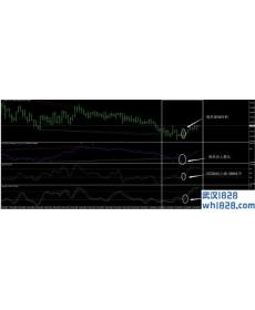 背离外汇交易系统下载