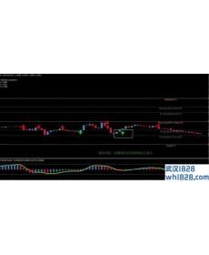 每日信号外汇交易系统下载