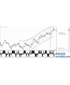OAN外汇交易系统下载