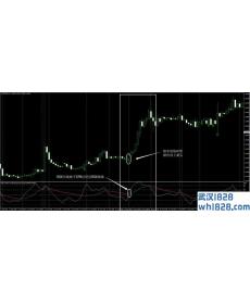 先进RSX策略外汇交易系统下载