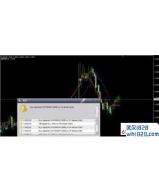 双线外汇分析系统带报警提示下载