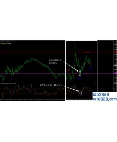 30点外汇交易系统下载,ZZI指标的灵活运用!