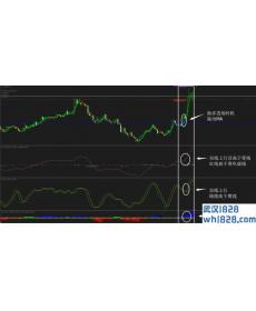 TS平整外汇交易系统下载