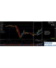 最后秘密外汇交易系统下载