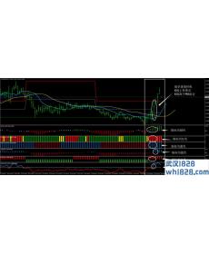 KiwiK外汇交易系统下载