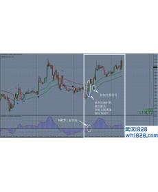 黑狗外汇交易系统下载