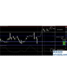 食者外汇交易系统下载