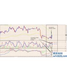 MFT支撑阻力MACD随机指标外汇交易系统下载