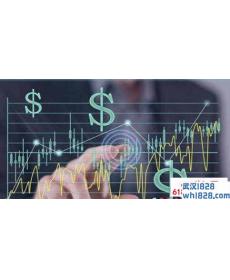 外汇技术分析有用吗？