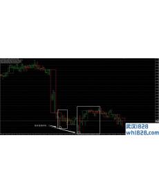 整数策略外汇交易系统下载