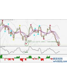 3 Level ZZ SEMAfor with momentum外汇交易系统