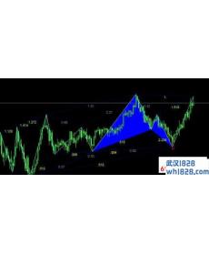 最完美的蝴蝶指标