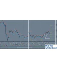 摇摆人外汇交易系统下载