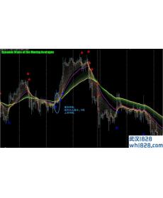 Dynamic Wave of the Moving Averages外汇交易系统下载