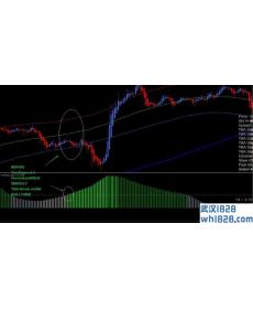 NK极限TMA波段外汇交易系统下载
