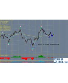 Elliott Wave外汇交易系统下载