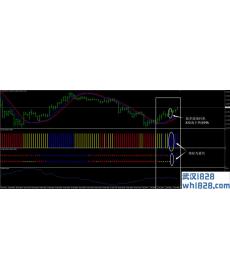 主宰外汇交易系统下载
