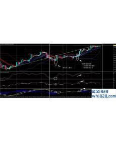 Kuasa外汇交易系统修正版下载