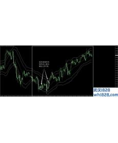 裸熊形态外汇交易系统下载