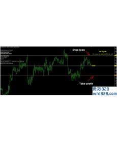 Auto Trade Fusion外汇交易系统下载