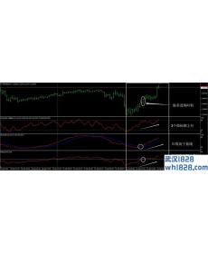 小袋鼠外汇交易系统下载